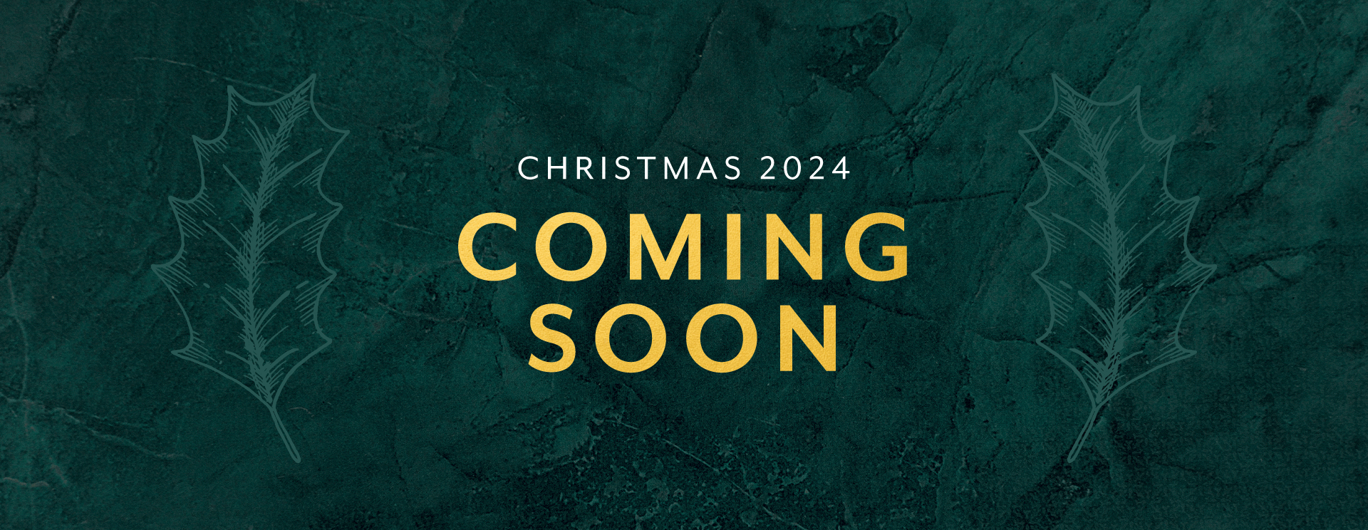 Christmas 2024 at Wavendon