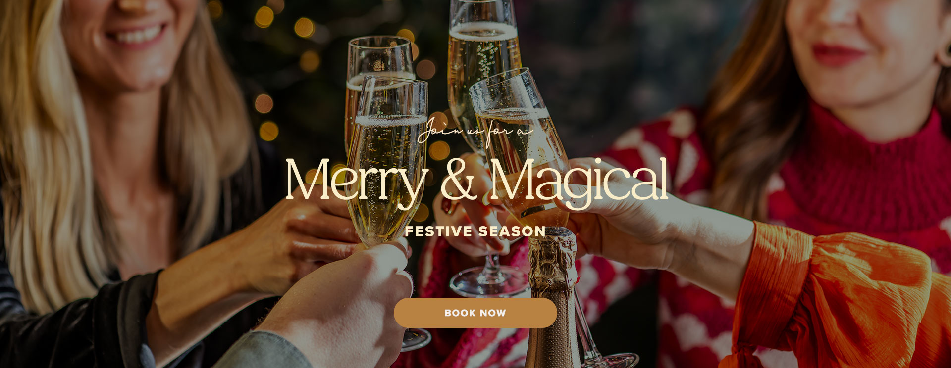 Christmas 2025 at Wavendon